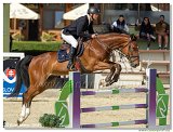 Bucov Duan Miloslav  -  COCO BALOU VDB Z 