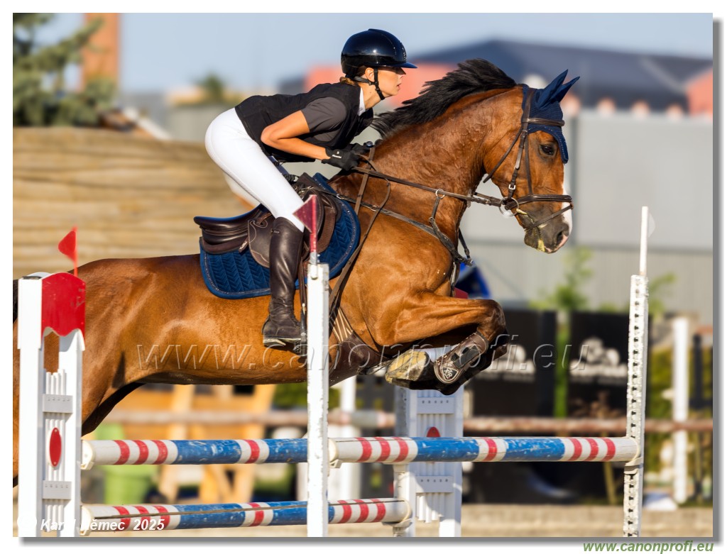 Rozlka Grand Prix 2025 - finle  -  115 cm