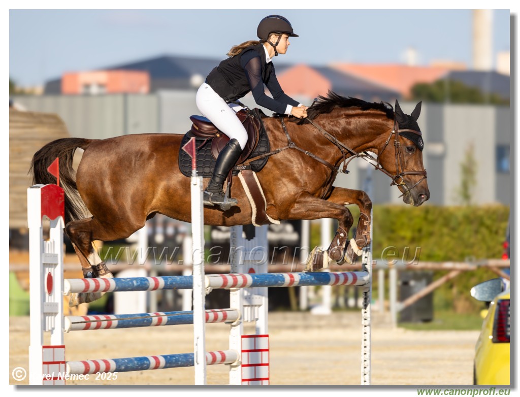 Rozlka Grand Prix 2025 - finle  -  115 cm