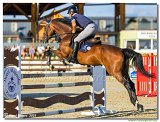 Bulk Martin - HOPEFUL THOUCHED NUMO 