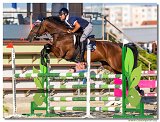 Bulk Martin - HOPEFUL THOUCHED NUMO 