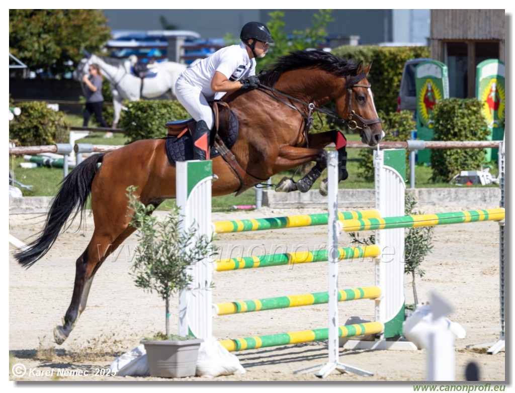 Rozlka Grand Prix 2025 - finle  -  125 cm