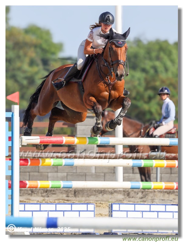 Rozlka Grand Prix 2025 - finle  -  135 cm