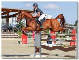 Brozman Vladimr - AGATA VAN GRASSHOPPER 