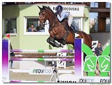 Packov Katarna Kirsten - POWER BLUE 