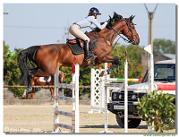 Rozlka Grand Prix 2025 - finle