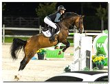 Faye Sutton, GBR  -  Lucka-Quick B 