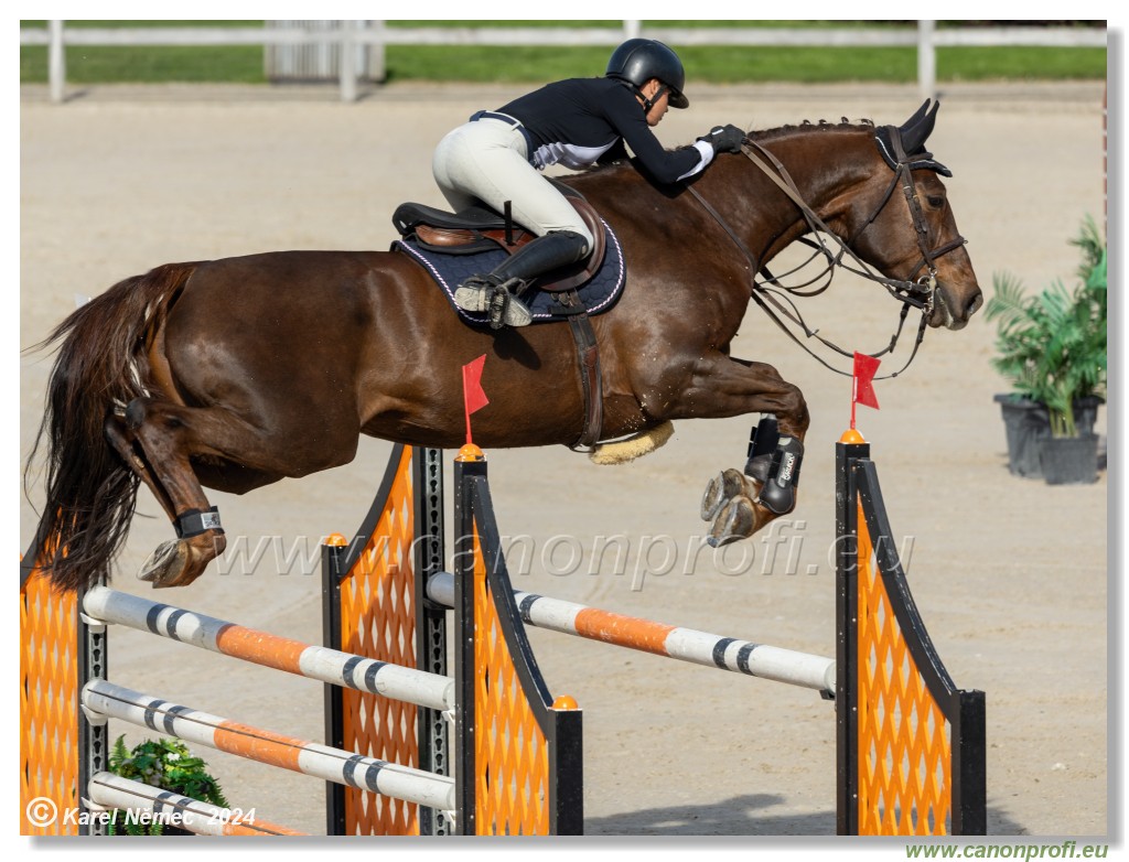 Competition L - 120 cm