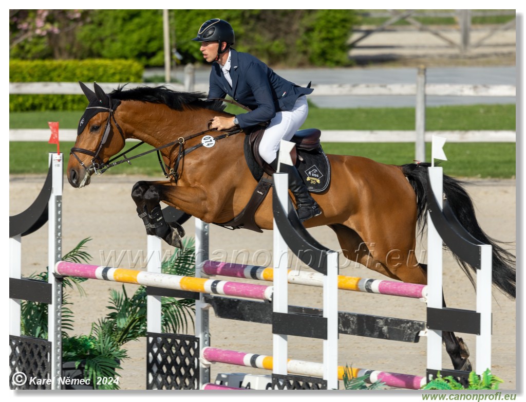 Competition L - 120 cm