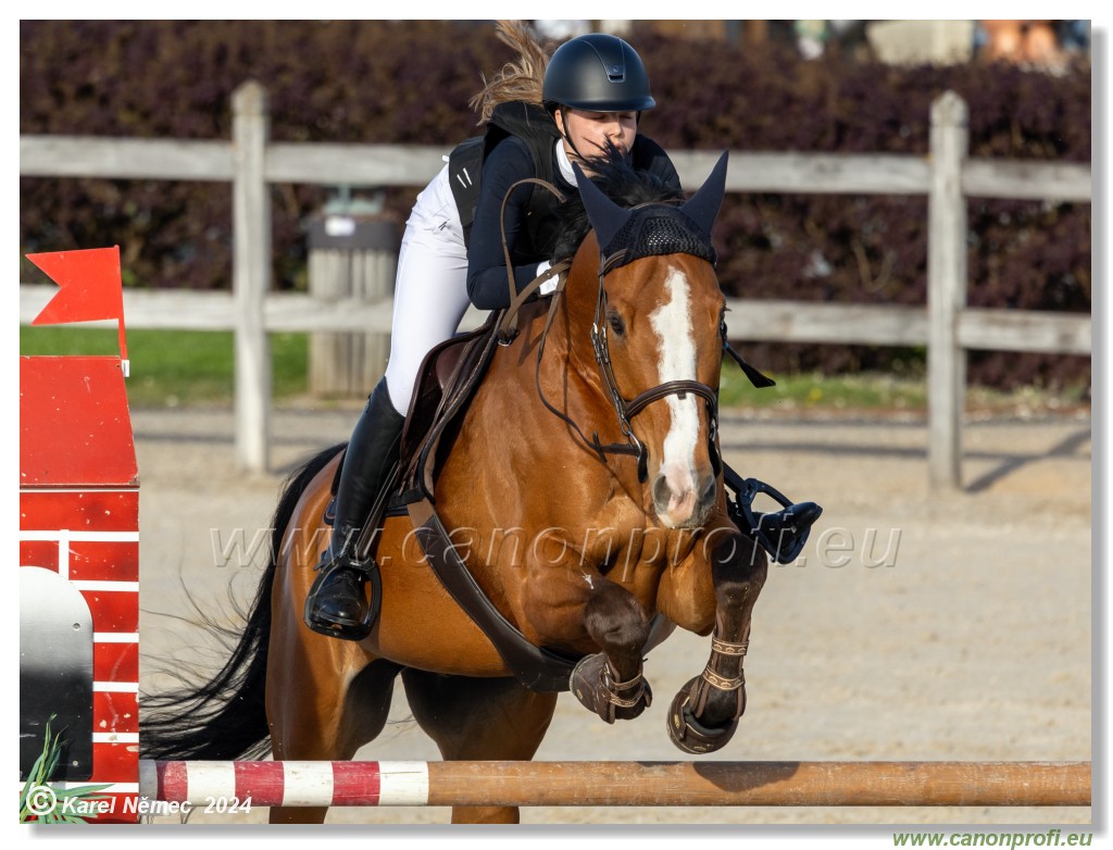 Competition L - 120 cm