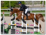 Jozef WILD - COMETA FH Z 