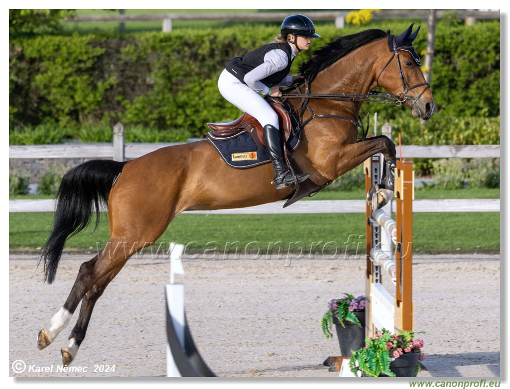 Competition S - 130 cm
