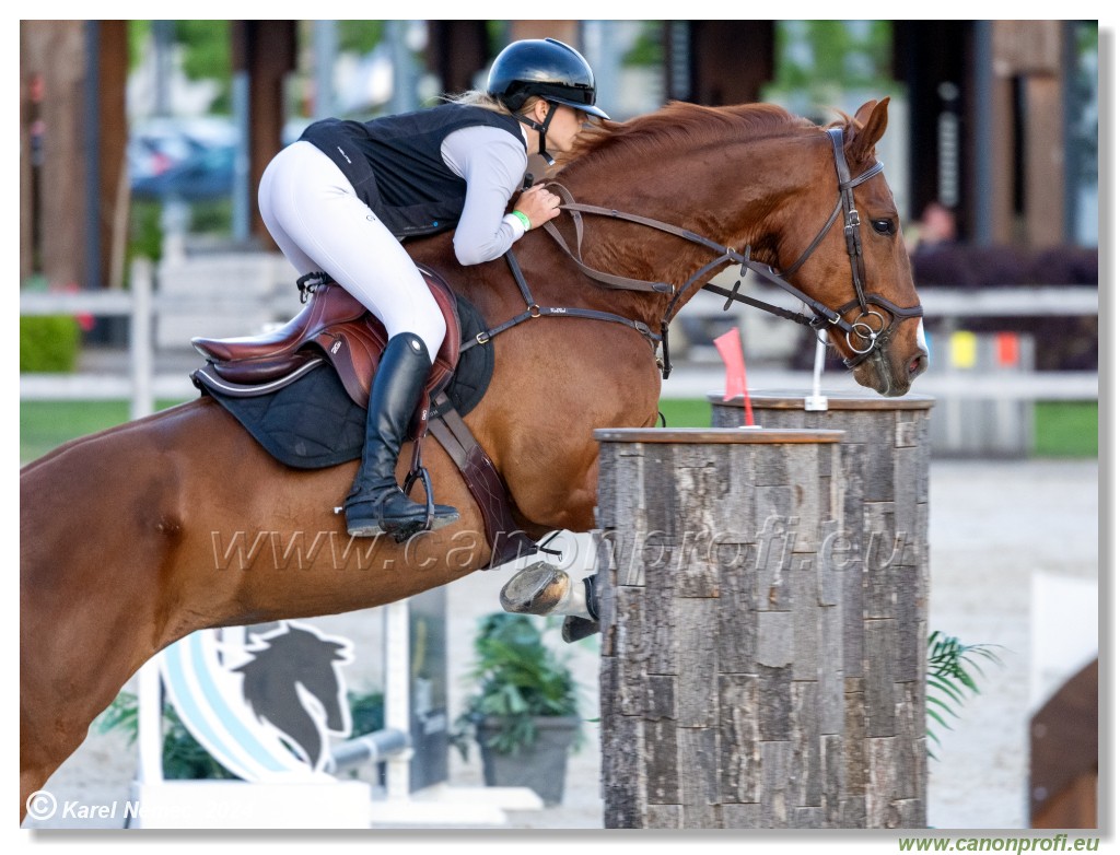 Competition S - 130 cm