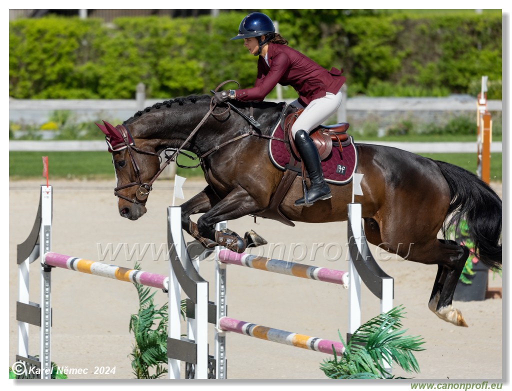 Grand Prix Equistyle - 145 cm