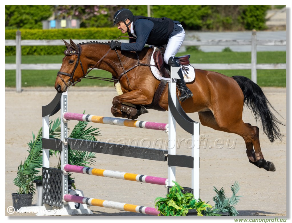 Grand Prix Equistyle - 145 cm