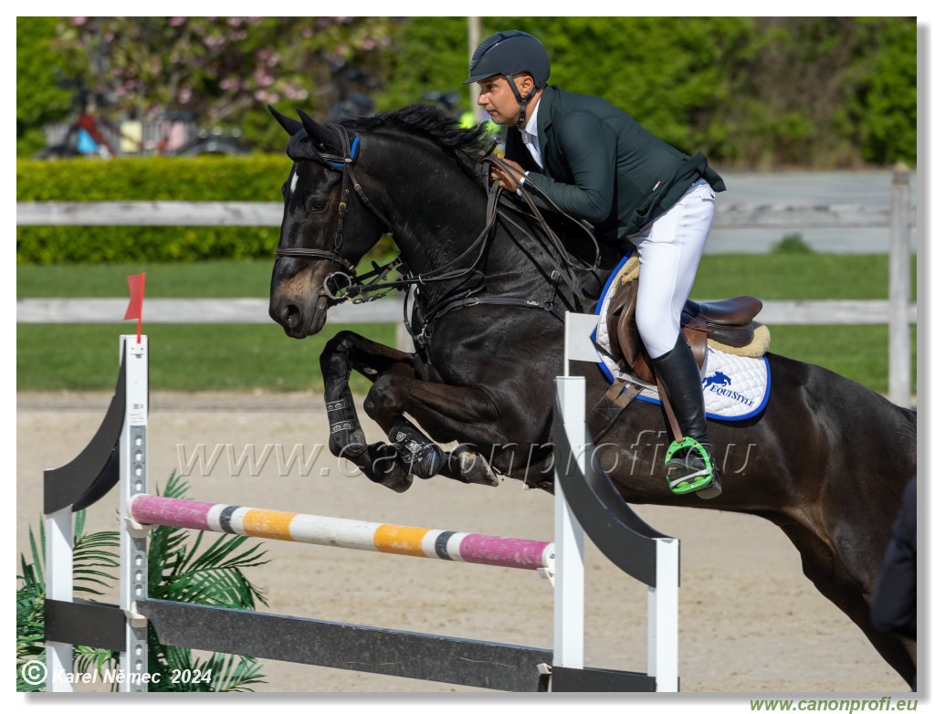 Grand Prix Equistyle - 145 cm