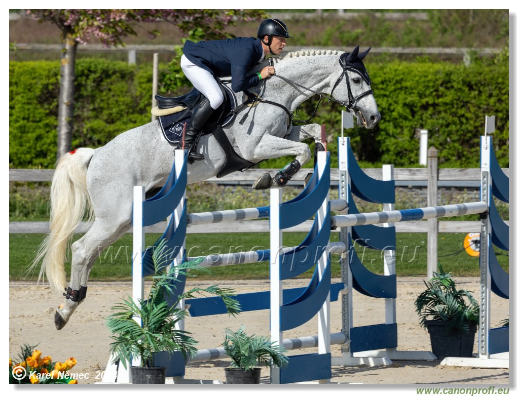 Grand Prix Equistyle - 145 cm