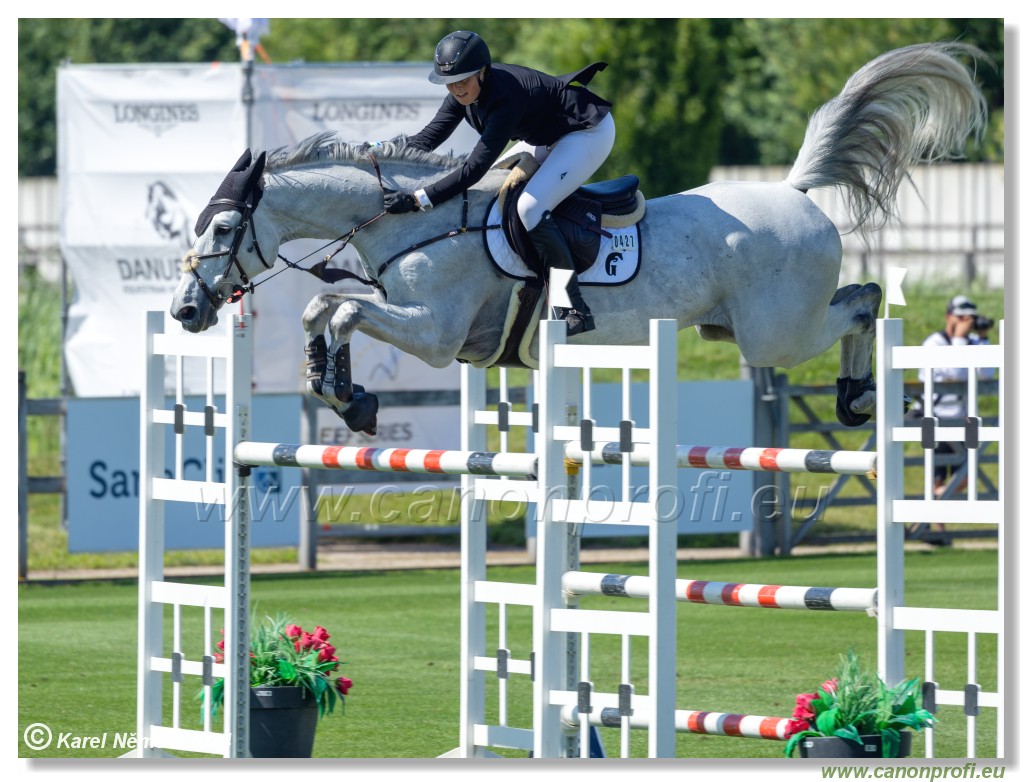 Danube Equestrian Festival - CSIO3* Gold Tour 