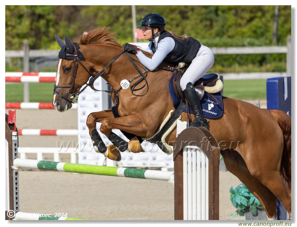 amorn - Olympic Spirit CSI4* - 09 August 2024