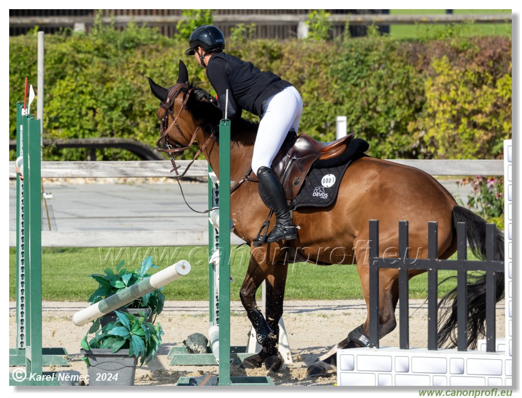amorn - Olympic Spirit CSI4* - 09 August 2024