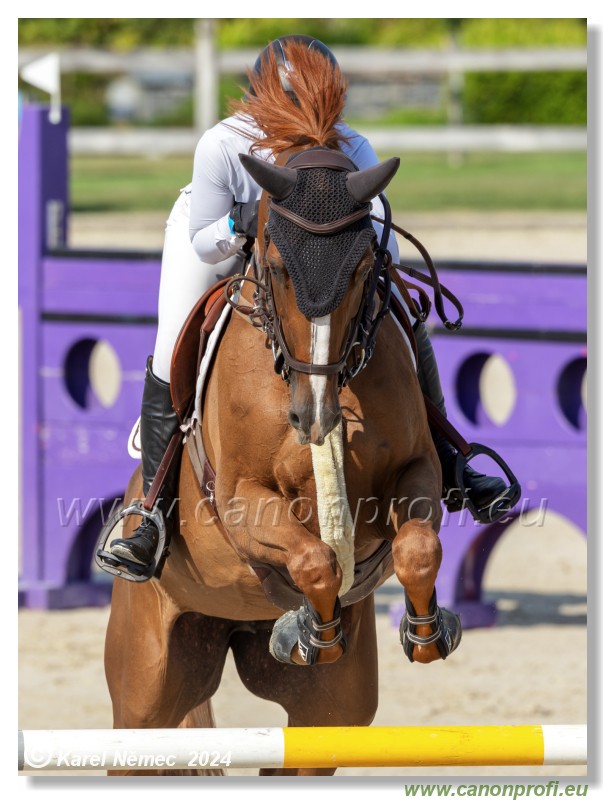 amorn - Olympic Spirit CSI4* - 09 August 2024