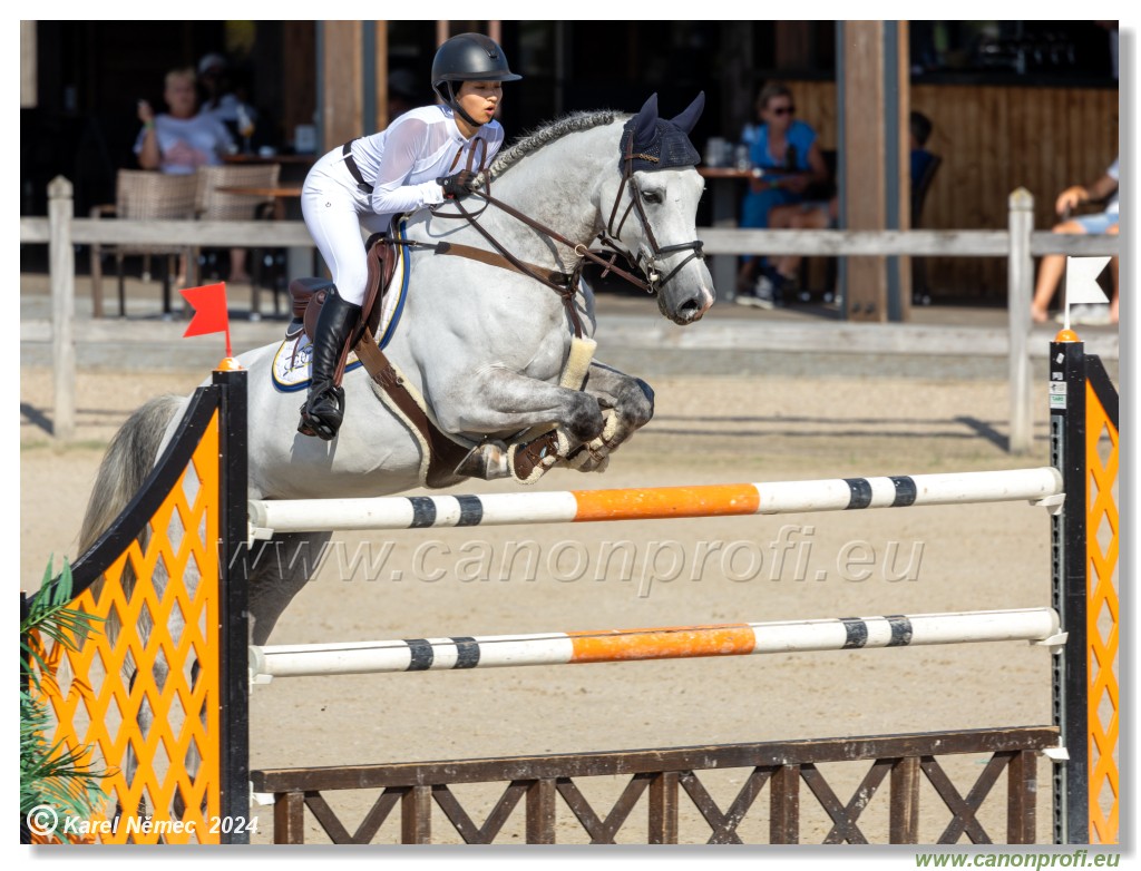 amorn - Olympic Spirit CSI4* - 09 August 2024