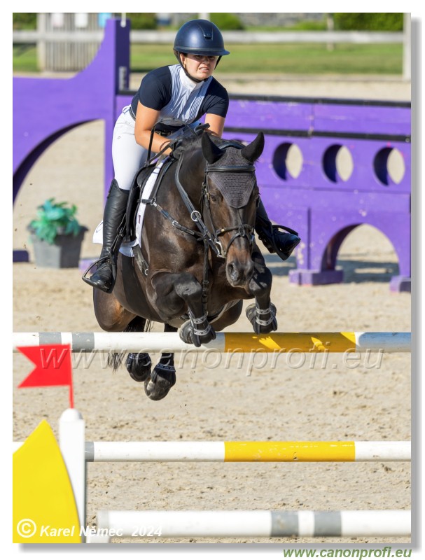 amorn - Olympic Spirit CSI4* - 09 August 2024