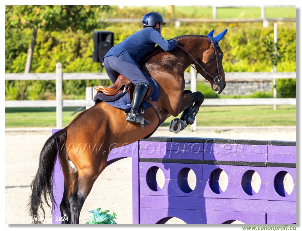 amorn - Olympic Spirit CSI4* - 09 August 2024
