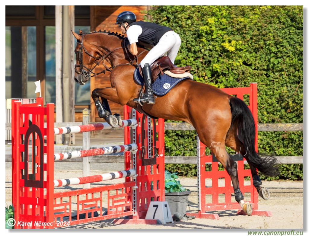 amorn - Olympic Spirit CSI4* - 09 August 2024