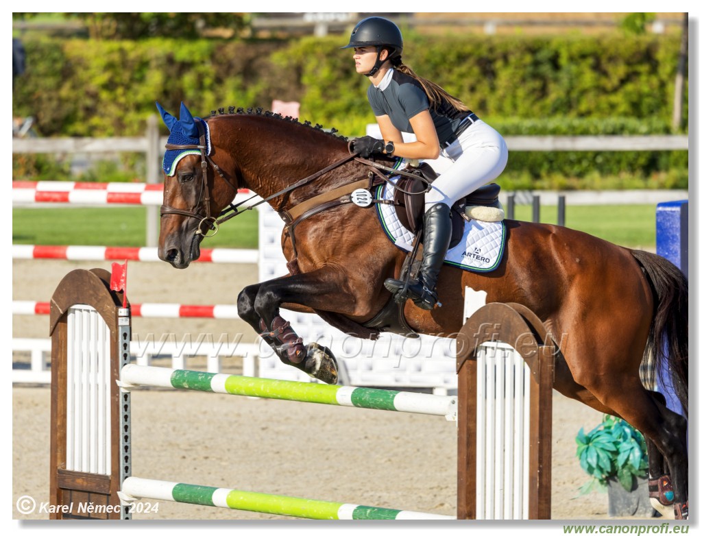 amorn - Olympic Spirit CSI4* - 09 August 2024