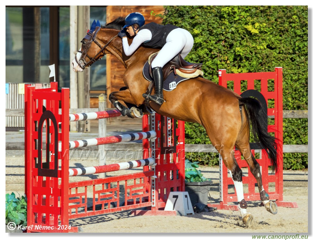 amorn - Olympic Spirit CSI4* - 09 August 2024