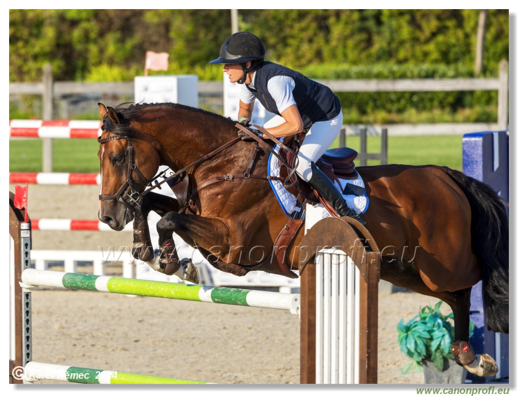 amorn - Olympic Spirit CSI4* - 09 August 2024