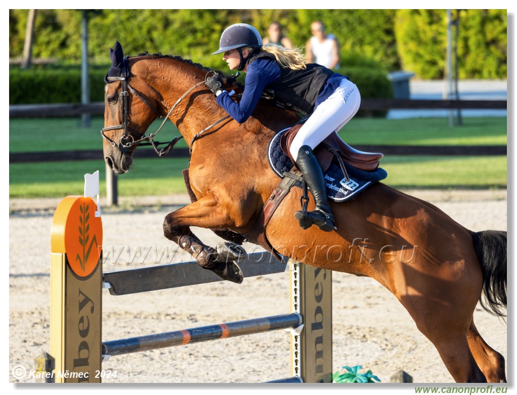 amorn - Olympic Spirit CSI4* - 09 August 2024