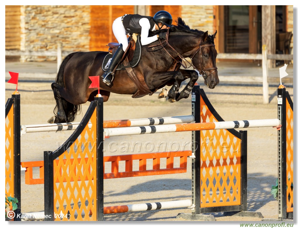amorn - Olympic Spirit CSI4* - 09 August 2024