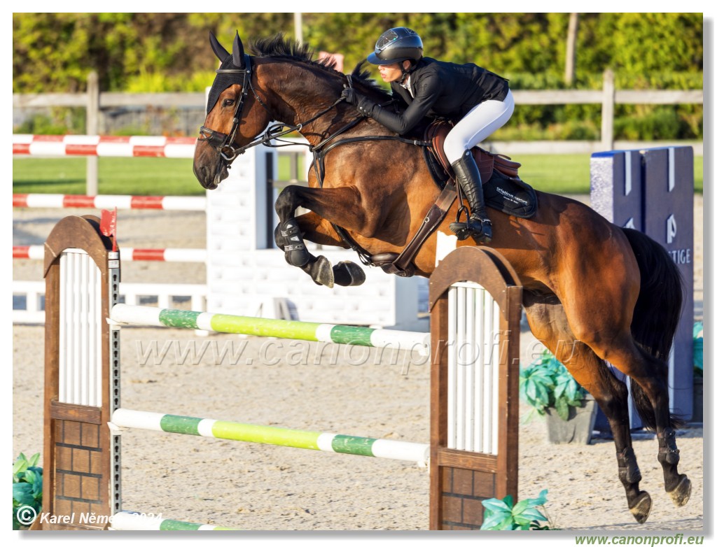 amorn - Olympic Spirit CSI4* - 09 August 2024