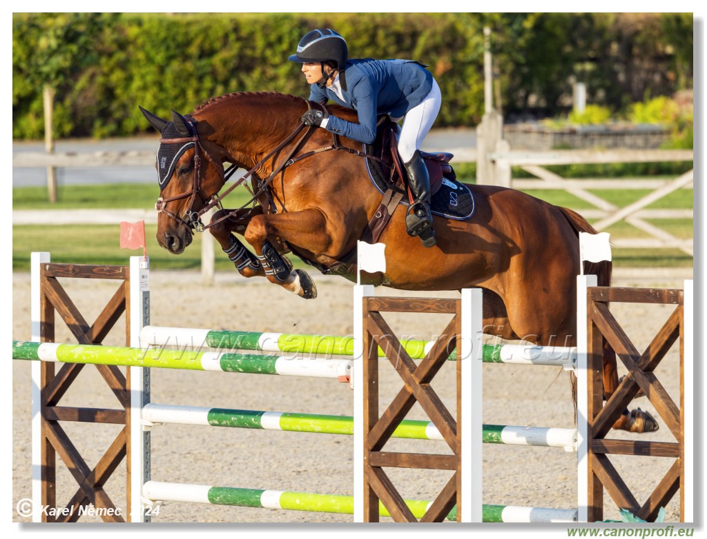 amorn - Olympic Spirit CSI4* - 09 August 2024