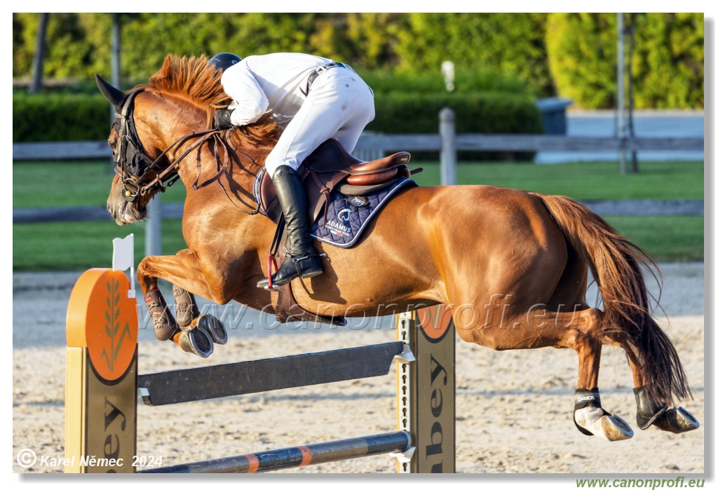 amorn - Olympic Spirit CSI4* - 09 August 2024