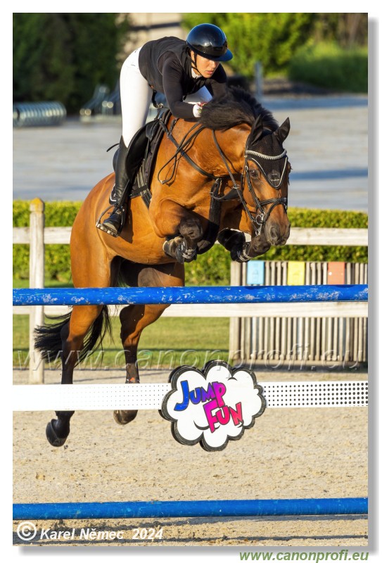 amorn - Olympic Spirit CSI4* - 09 August 2024