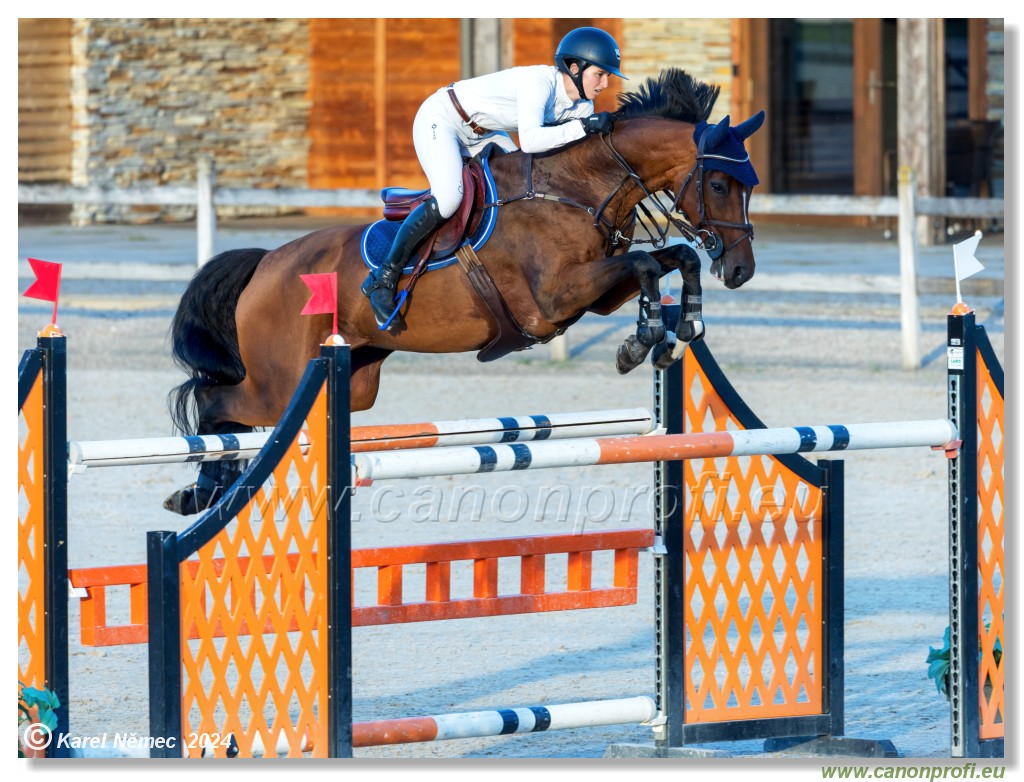 amorn - Olympic Spirit CSI4* - 09 August 2024