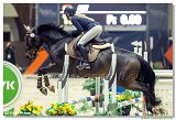 Alina FLORIAN, AUT  -  GREAT FERRO C 