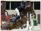 Angelos TOULOUPIS, GER  -  DEL REY OF THE LOWLANDS Z 