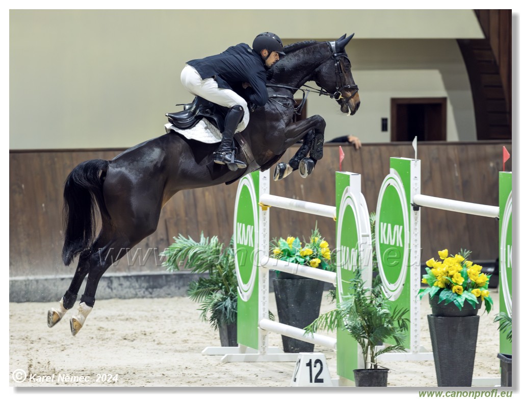 Gold Tour Grand Prix 150 cm