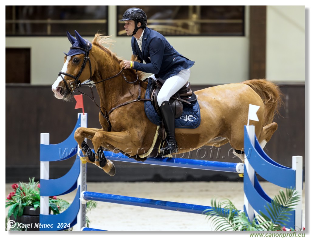 Gold Tour Grand Prix 150 cm