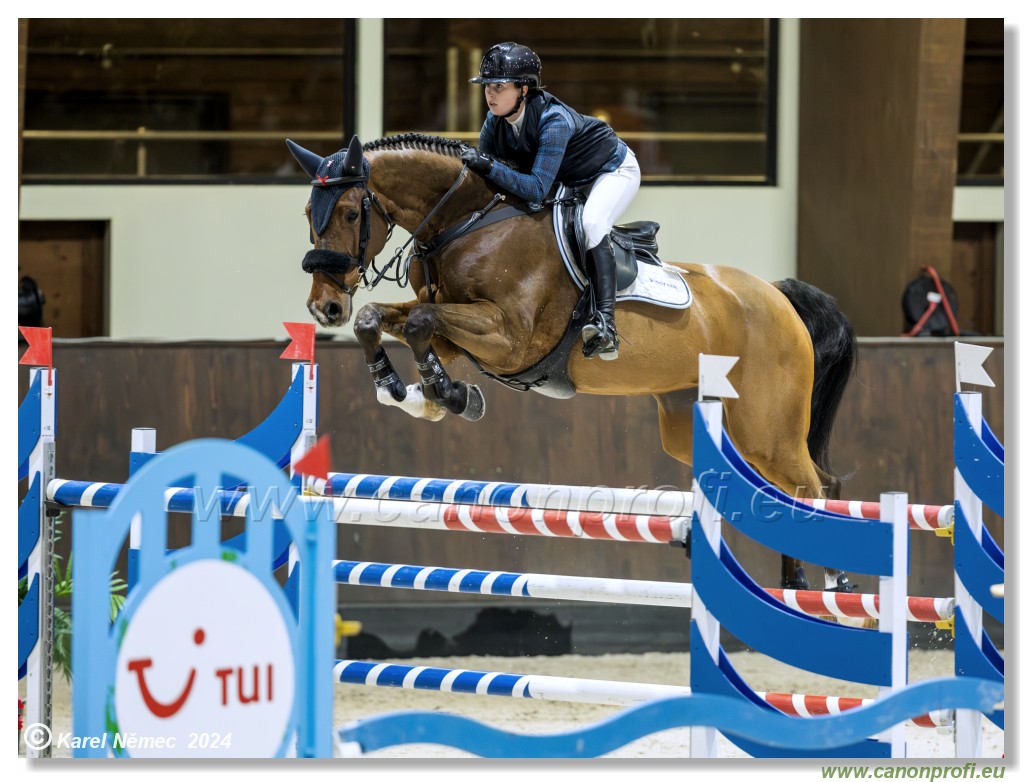 Gold Tour Grand Prix 150 cm