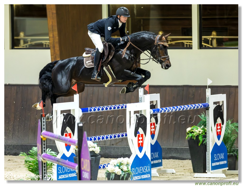 Gold Tour Grand Prix 150 cm