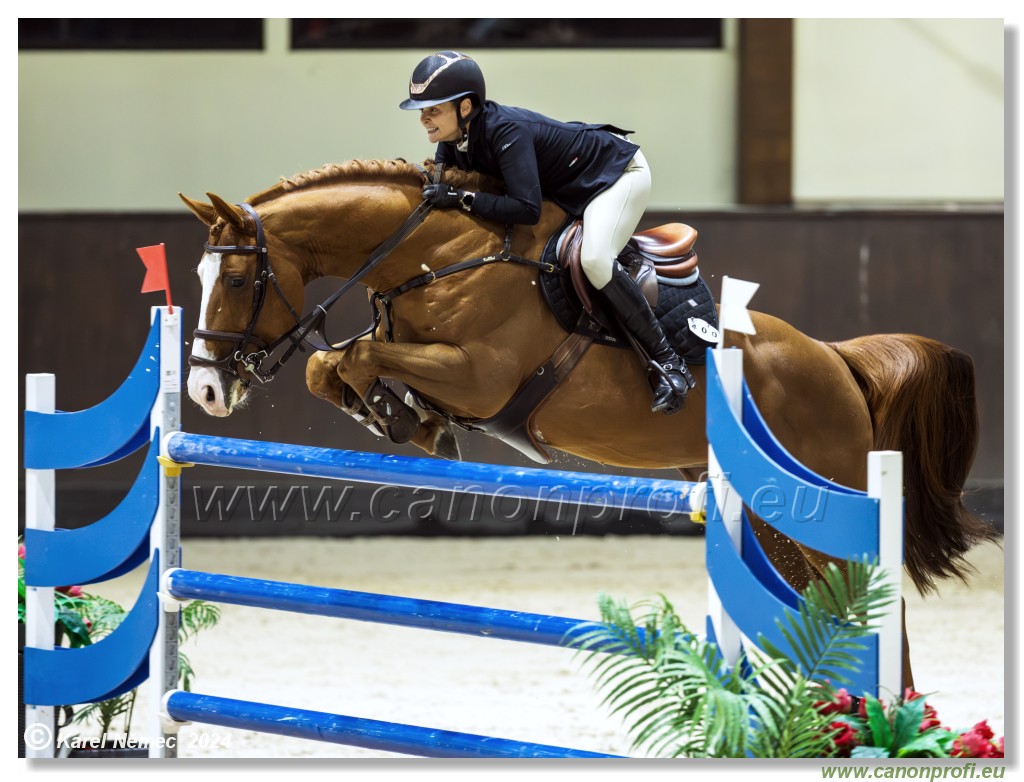 Gold Tour Grand Prix 150 cm