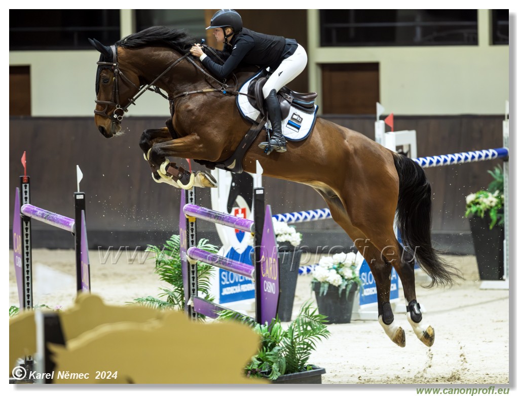 Gold Tour Grand Prix 150 cm