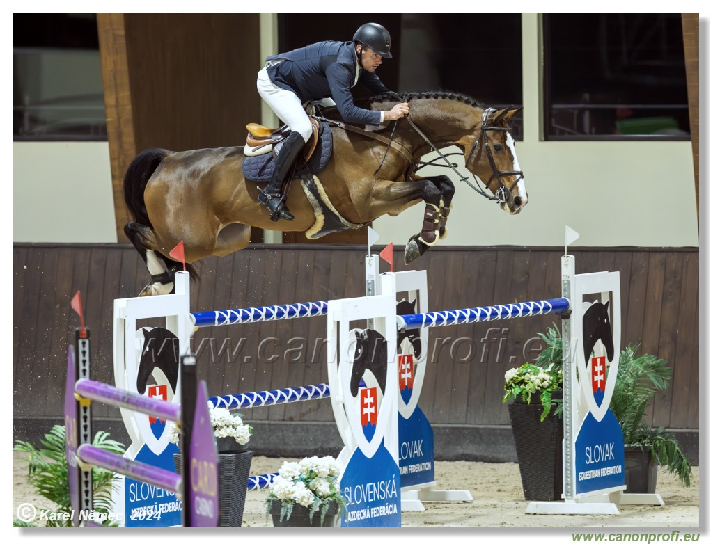 Gold Tour Grand Prix 150 cm