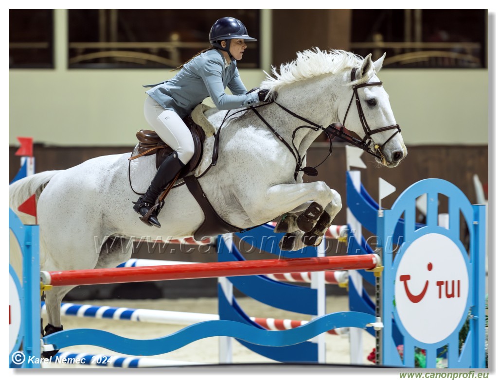 Gold Tour Grand Prix 150 cm