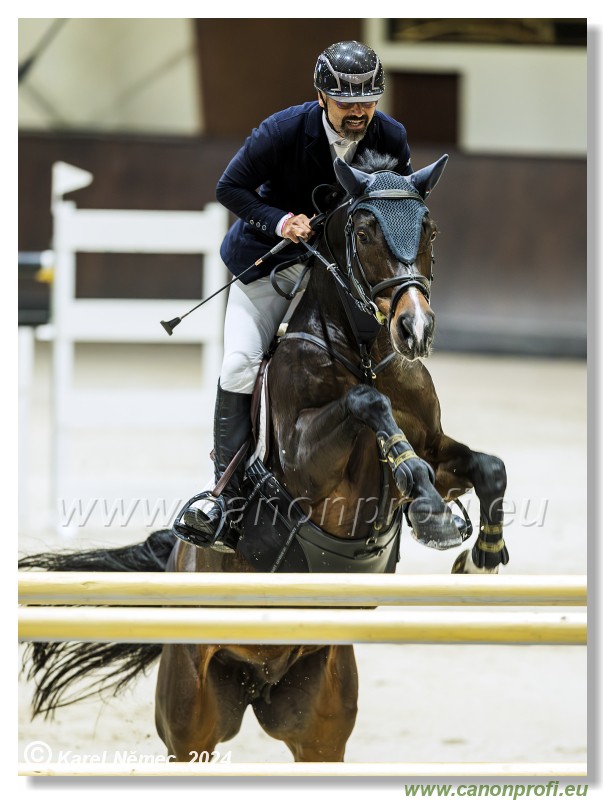 Gold Tour Grand Prix 150 cm